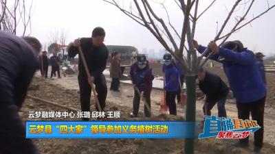 【直通县市区】 云梦县“四大家”领导参加义务植树活动