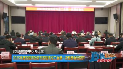 【直通县市区】2025年度安陆市政府与安陆市总工会第一次联席会议召开