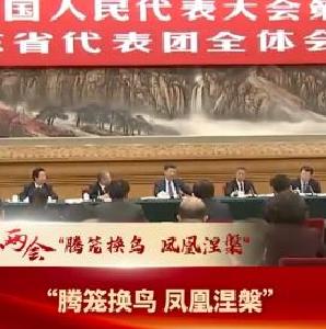 习语丨习近平总书记的两会之“喻”
