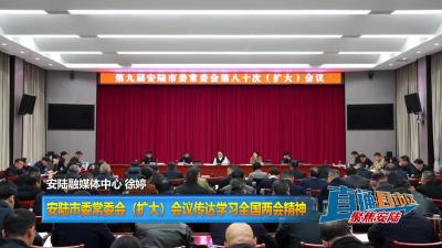 【直通县市区】安陆市委常委会（扩大）会议传达学习全国两会精神