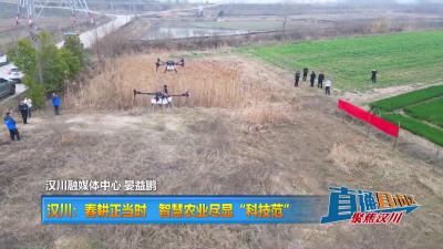【直通县市区】汉川：春耕正当时 智慧农业尽显“科技范”