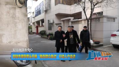 【直通县市区】安陆市领导带头开展“我在群众身边”行动 入户走访