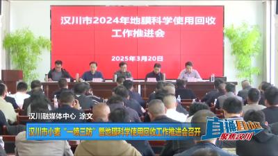 【直通县市区】汉川市小麦“一喷三防”暨地膜科学使用回收工作推进会召开