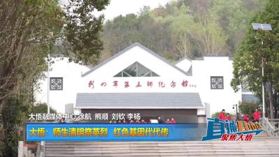 【直通县市区】大悟：师生清明祭英烈 红色基因代代传