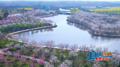 【直通县市区】春天里的安陆开放结尾