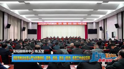 【直通县市区】安陆市推进全面从严治党暨组织、宣传、统战、政法（信访）年度工作会议召开
