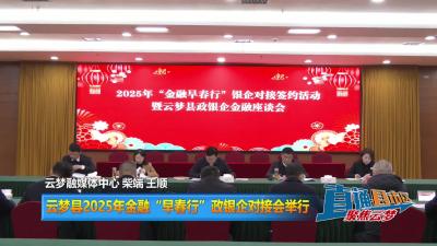 【直通县市区】 云梦县2025年金融“早春行”政银企对接会举行