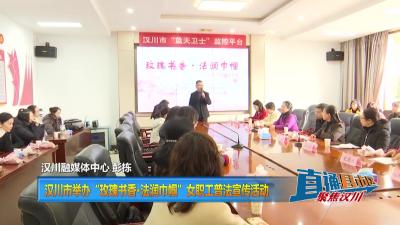 【直通县市区】汉川市举办“玫瑰书香•法润巾帼”女职工普法宣传活动