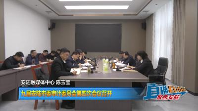 【直通县市区】九届安陆市委审计委员会第四次会议召开