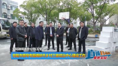 【直通县市区】安陆市领导专题调研市乡村三级综治中心建设工作