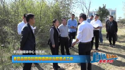 【直通县市区】孝昌县领导到周巷镇调研当前重点工作
