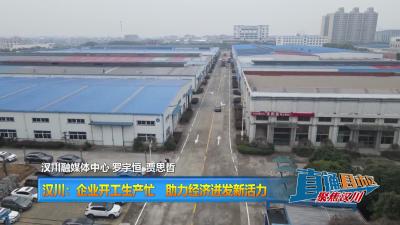 【直通县市区】汉川：企业开工生产忙 助力经济迸发新活力