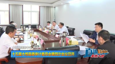 【直通县市区】十五届大悟县委审计委员会第四次会议召开