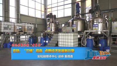 【直通县市区】优化营商环境“孝着办” 丨安陆：“三情”招商点燃经济发展新引擎