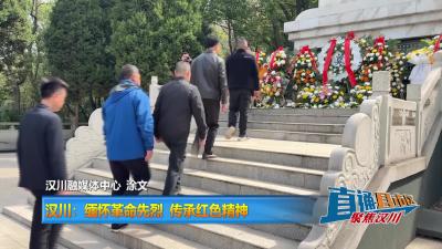 【直通县市区】汉川：缅怀革命先烈 传承红色精神