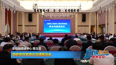 【直通县市区】安陆市召开政企沟通恳谈会