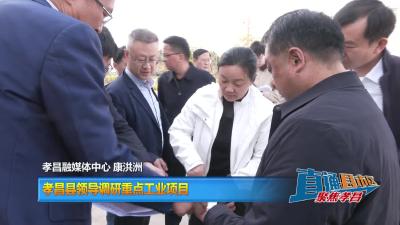 【直通县市区去】孝昌县领导调研重点工业项目