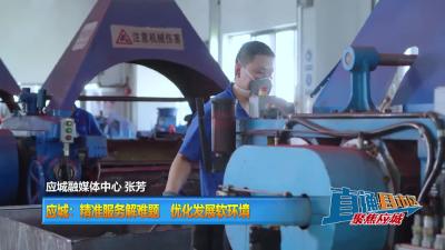 【直通县市区】应城：精准服务解难题 优化发展软环境