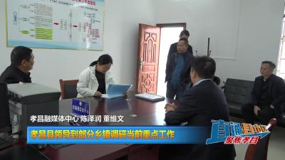【直通县市区去】孝昌县领导到部分乡镇调研当前重点工作