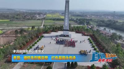 【直通县市区】孝昌：缅怀先烈寄哀思 红色基因永传承