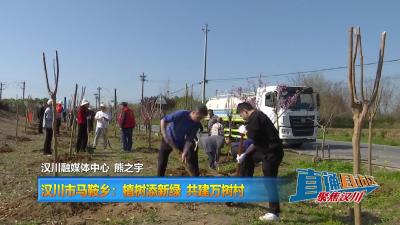 【直通县市区】汉川市马鞍乡：植树添新绿 共建万树村