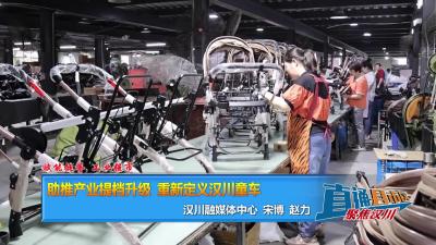 【直通县市区】赋能挺脊 工业强市| 助推产业提档升级 重新定义汉川童车
