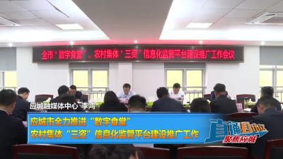【直通县市区】应城市全力推进“数字食堂”、农村集体“三资”信息化监管平台建设推广工作