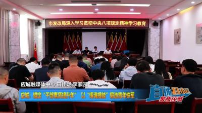 【直通县市区】 应城：锚定“干部素质提升年” 以“铸魂提能”锻造青年铁军