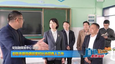 【直通县市区】安陆市领导调研家校社协同育人工作