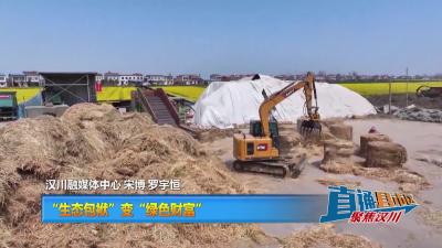 【直通县市区】“生态包袱”变“绿色财富” 汉川秸秆“变形记”