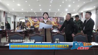 【直通县市区】安陆市领导调研履行职责事项清单编制及 大气污染防治工作