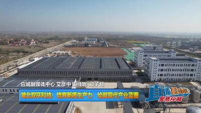 【直通县市区】 湖北双环科技：培育新质生产力 绘就现代产业蓝图