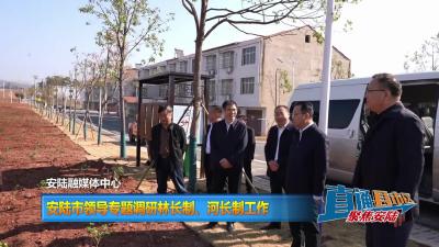 【直通县市区】安陆市领导专题调研林长制、河长制工作