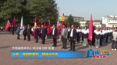 【直通县市区】大悟县：清明祭英烈 精神代代传