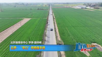 【直通县市区】云梦：“旱口”夺粮保丰收