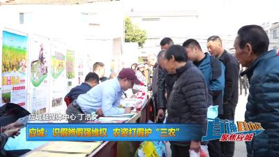 【直通县市区】应城：识假辨假强维权 农资打假护“三农”