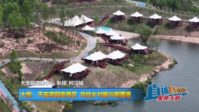 【直通县市区】大悟：千亩茶园变景区 共绘乡村振兴新图景