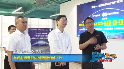 【直通县市区】孝感市领导到应城调研相关工作