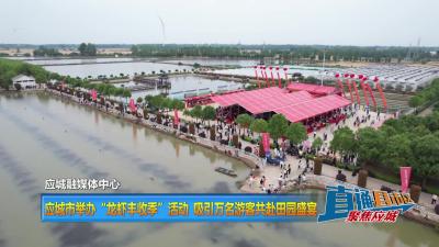【直通县市区】应城市举办“龙虾丰收季”活动 吸引万名游客共赴田园盛宴