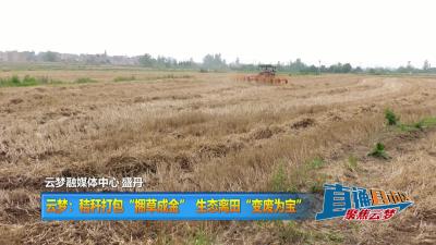 【直通县市区】 云梦：秸秆打包“捆草成金” 生态离田“变废为宝”