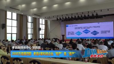 【直通县市区】2600万信用贷款 孝昌6家科技企业“知产”变“资产”