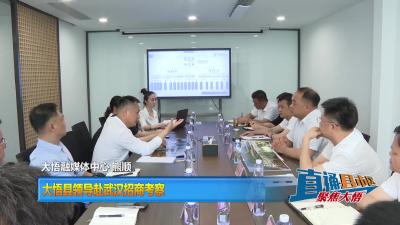 【直通县市区】大悟县领导赴武汉招商考察