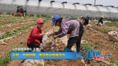 【直通县市区】 云梦：产销对接  激活农业发展活力