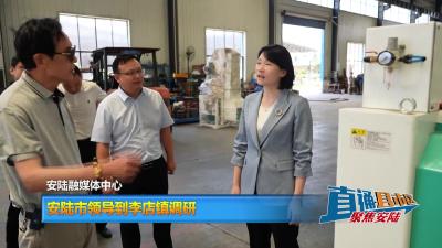 【直通县市区】安陆市领导到李店镇调研