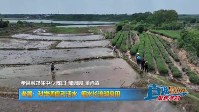 【直通县市区】孝昌：科学调度引活水  细水长流润良田