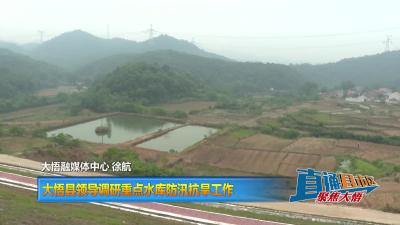 【直通县市区】大悟县领导调研重点水库防汛抗旱工作