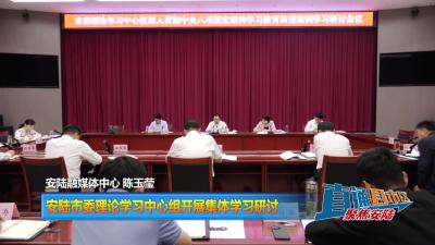 【直通县市区】安陆市委理论学习中心组开展集体学习研讨