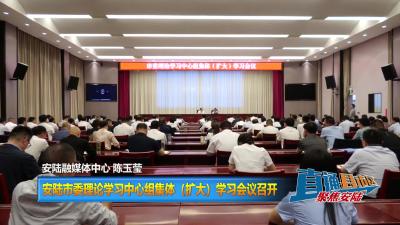 【直通县市区】安陆市委理论学习中心组集体（扩大）学习 会议召开
