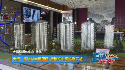 【直通县市区】大悟：多措并举促回暖 房地产市场热度不减