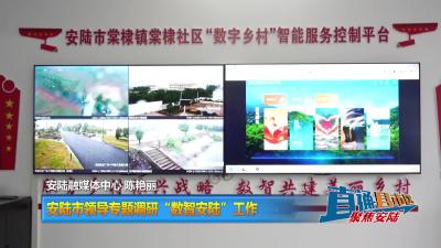 【直通县市区】安陆市领导专题调研“数智安陆”工作